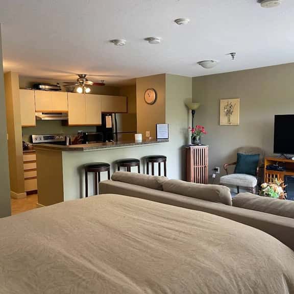 Adorable Studio - close to everything! - Image 1